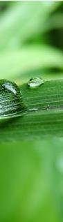 natur